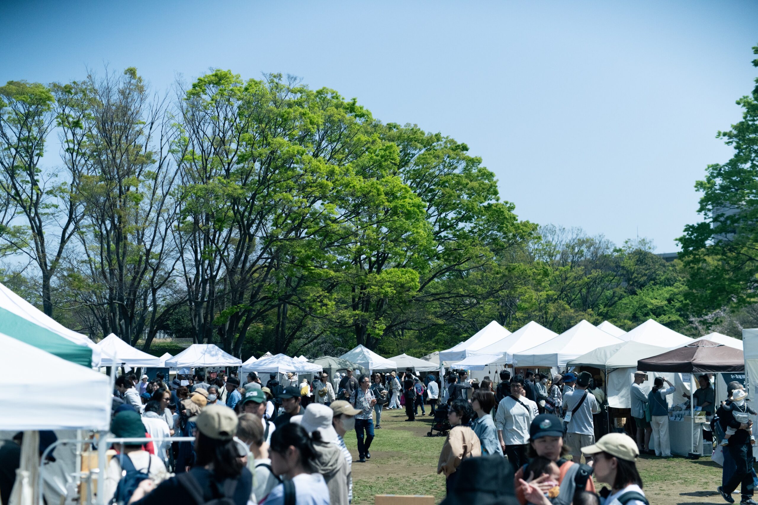 いちの市