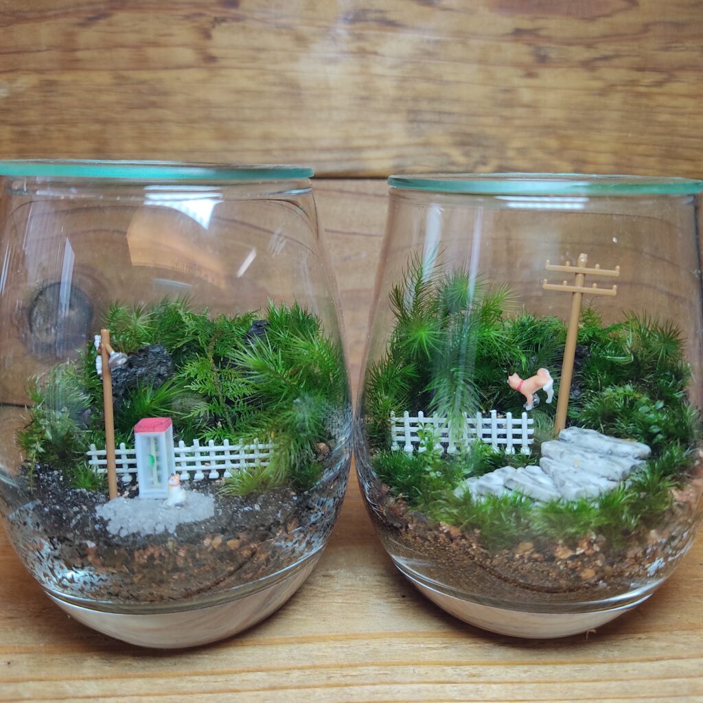 苔テラリウムのRespireの作品
